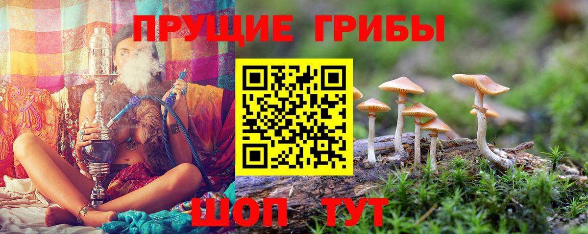 Малоярославец  Галлюциногенные грибы прущие грибы  Вход с VPN 